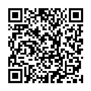 显然就没有再把自己当做普通人类阵营和萨沙手下的臣子二维码生成