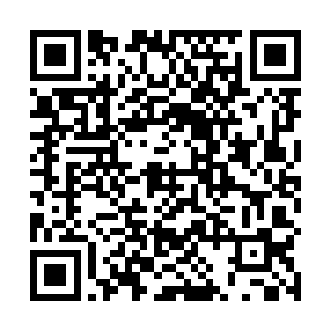 显然就输了一大截––如果林可儿真如顾瑶描述的那样二维码生成