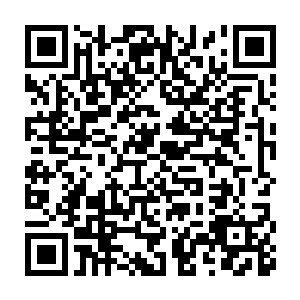 显然就需要有人主动送上门来的……这些杀手就成了最好的肥料了二维码生成