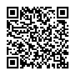 显然所有人都没有料到星海行会会出现一件中品法宝二维码生成