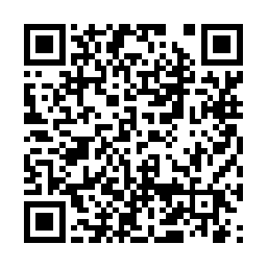 显然是不会顾及自己太子的身份对自己手下留情的二维码生成