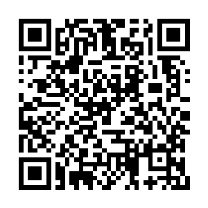 显然是不可能为了一个西荒界域的分支倾巢出动二维码生成