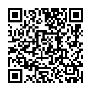 显然是从圣邪战傀的身上感受到了无尽的恐惧和威胁二维码生成