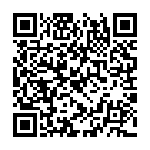 显然是几乎已经承受不住虚空之中的恐怖的气息了二维码生成