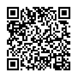 显然是刚才那些兽吼之中蕴藏了杨开无法体会的信息二维码生成