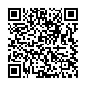 显然是因为苏凡后面的那件事才让威廉变成了这样子二维码生成