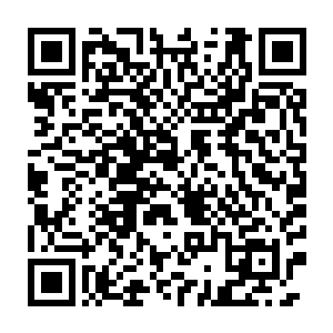 显然是对吴岩竟然敢如此毫无顾忌的收起那十团红色光芒的冒失行为二维码生成