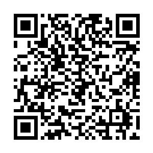 显然是对李思辰用火焰烧死了它们产下的小蜘蛛一事二维码生成