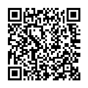 显然是已经被面前这个不知道是妖还是神的家伙给看穿了二维码生成