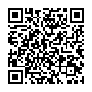 显然是整个洞天残片之内地面之上重力最强的区域了二维码生成