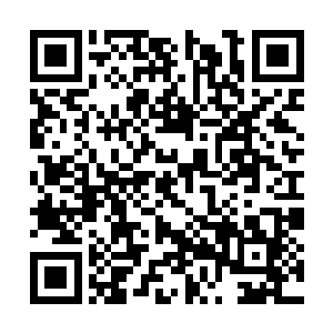 显然是有人以强大的禁制保护住了这座祭台的安全二维码生成