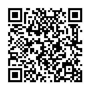 显然是正在扫荡外海的伊莎蓓尔那边出了什么问题二维码生成