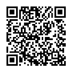 显然是比下方一片肃杀之色的群山多了股股生机二维码生成