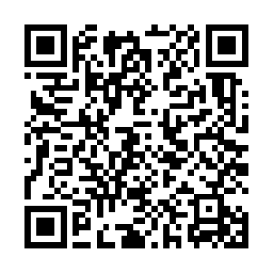 显然是沒有料到这个貌不惊人的小子竟然说动手就动手二维码生成