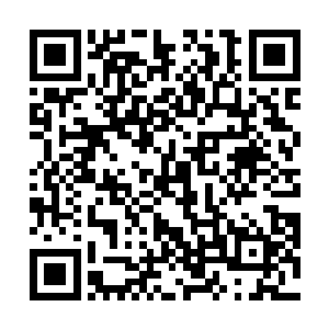 显然是给那些追击张阀的黑暗强者迎头一击的大好时机二维码生成