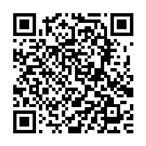 显然是被丁铃铛等人的巨神兵打爆了主要的几座工质动力单元二维码生成