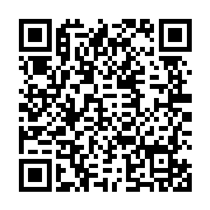 显然普罗曼博士是非常不赞同重新选择一个合作伙伴的二维码生成