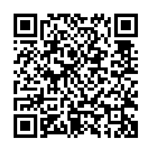 显然杨戬没想到在这个地方竟然会隐藏着一尊如此恐怖的存在二维码生成