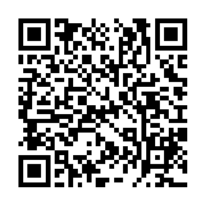 显然此时的黄长老心中的情绪可以说是无比的激动二维码生成