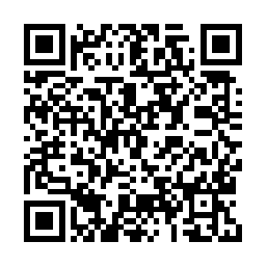 显然此时的龙傲天已经从那震惊之中恢复了过来二维码生成