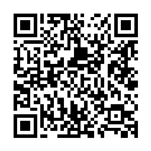 显然比之前的时候遇到的那所谓的暗夜大帝不知道强大了多少倍二维码生成