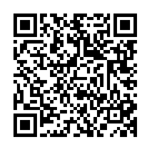 显然没想到一向十分疼爱自己的爷爷竟然会如此狠心的打自己二维码生成