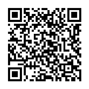 显然没有想到面对这样优厚的条件竟然还会有人拒绝二维码生成