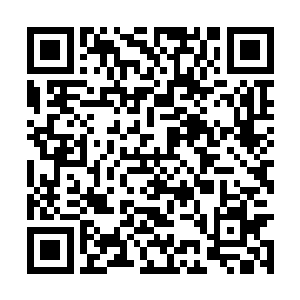 显然没有料到霍君白居然学会了东海盘龙门的绝学二维码生成