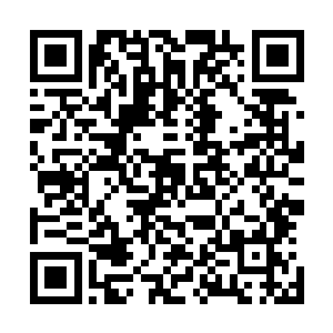 显然直到最后他们也想不通龙傲天的实力为什么会这么变态二维码生成