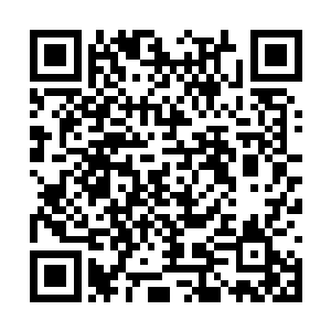 显然荒兽能够在四极之地称霸除了恐怖的肉身之外二维码生成