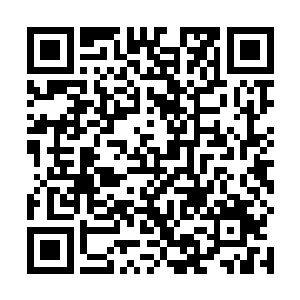 显然虚影的实力比龙傲天想象之中的海要更加恐怖的多二维码生成