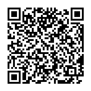 显然虽然徐清尘已经有许多天不在了这个房间依然每天都有人整理二维码生成