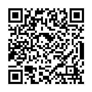 显然要全部落在仙灵界还没有出来的那两人身上二维码生成