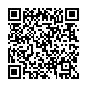 显然让这种无亲无故的孩子有个信念是最简单的二维码生成