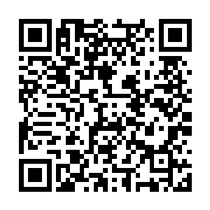 显然还不太明白两人说的那些天地灵种是什么意思二维码生成