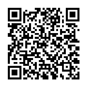 显然还没搞清一场回家探亲怎么瞬间演变成这个样子二维码生成
