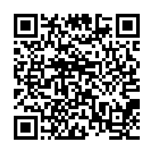 显然这个老者应该是白家家主或者白家老爷子的护卫二维码生成