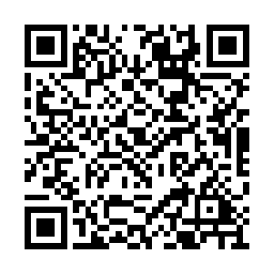 显然这个蛮荒古界的界主也是一个无比狂傲之人二维码生成