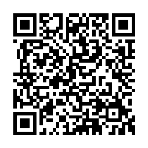 显然这也是他们第一次参加如此高规格的拍卖会二维码生成