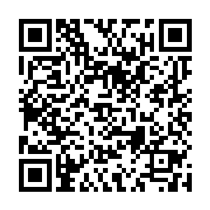 显然这种表情凤火舞也只有在杨戬的面前才有可能出现二维码生成