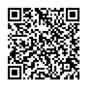显然这萱若闹着要出去玩已经不是一日两日的时间了二维码生成