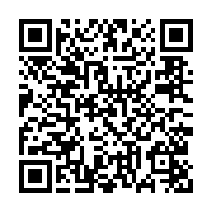 显然这里的东西给宇无极的震撼实在是太恐怖了二维码生成