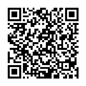 显然都是被吴虎臣这有些疯狂的话语给弄得有些受不了了二维码生成