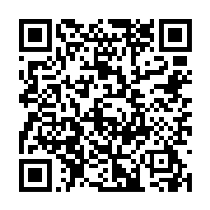 显然金玄战傀的恐怖的实力也彻底的征服了龙傲天二维码生成