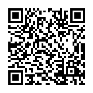 显然陈少峰之前的时候并没有将所有的实情告诉他二维码生成