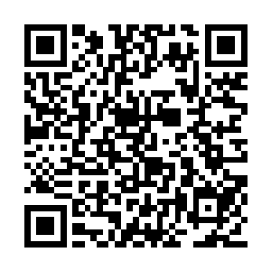 显然顾晓梅也没想到王淑芳会在自家的玉米地里二维码生成