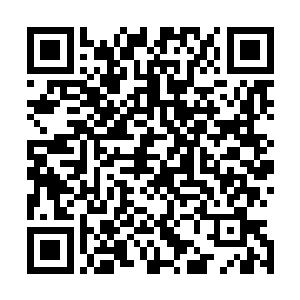 显然龙傲天刚才表现出来的强大的实力将他们彻底的镇住了二维码生成