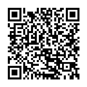 显然龙傲天身上的气质根本就不是普通人拥有的二维码生成