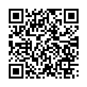 显示出两个小家伙都将计算力飙至极限二维码生成