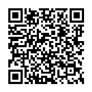 显示出白启立丰富的战斗经验和精湛的战斗技巧二维码生成